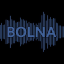 /images/tools/logo/bolna_logo.png logo